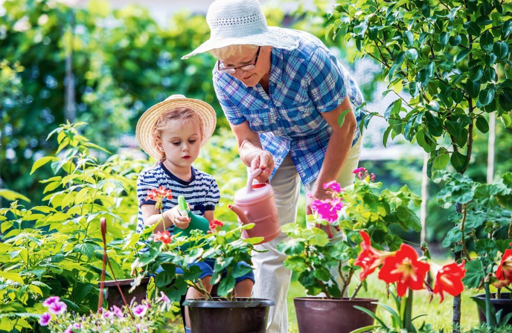 Grandmother and granddaughter watering plants