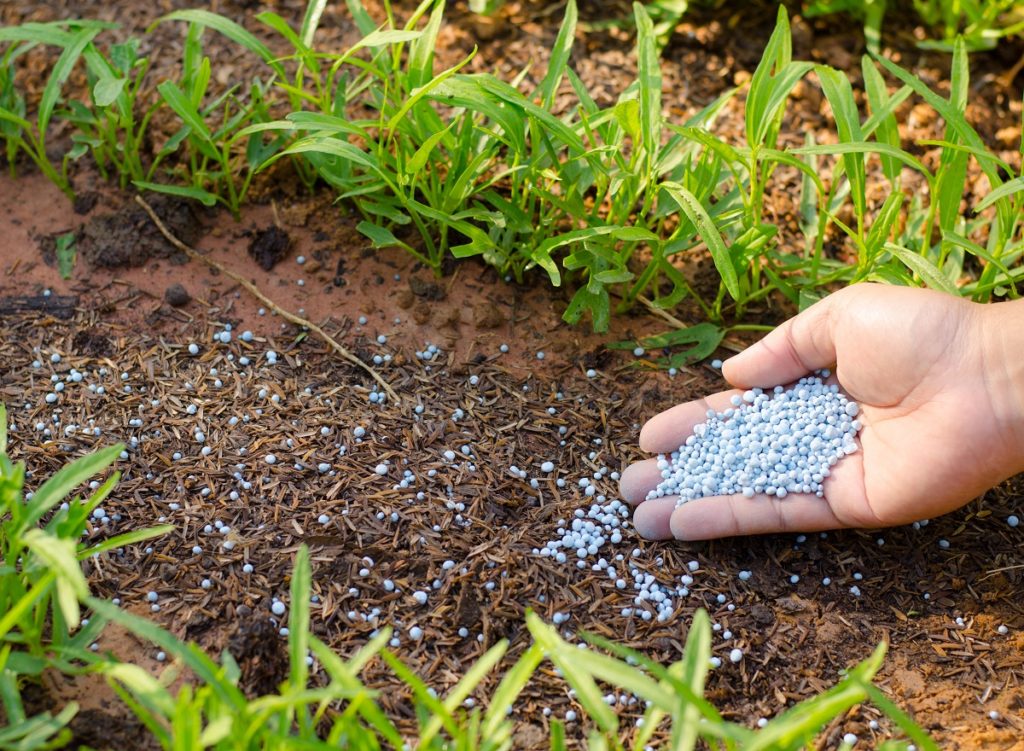 Putting soil fertilizer