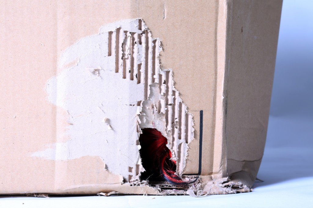 hole on a box from rat
