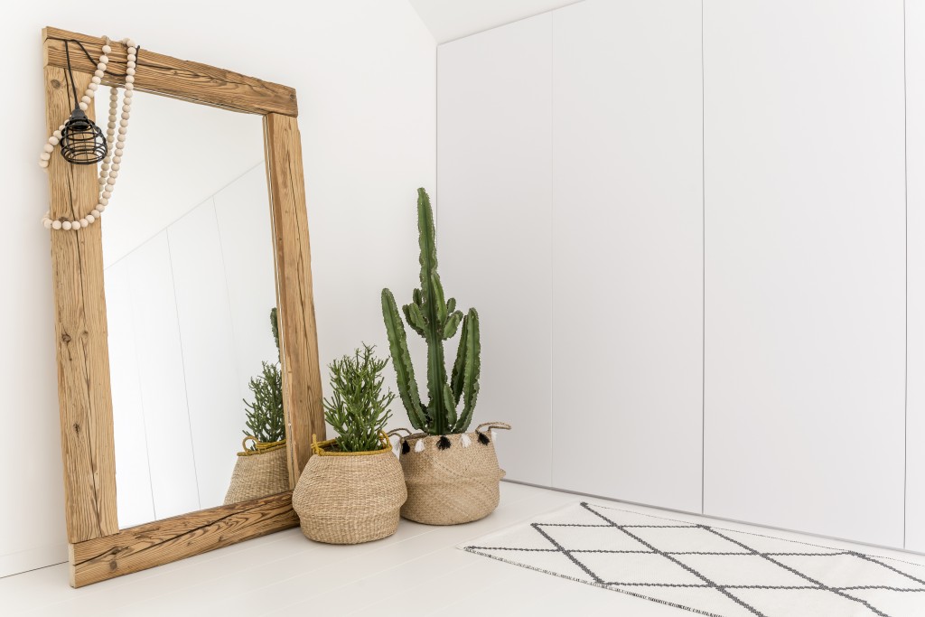 mirror and plants