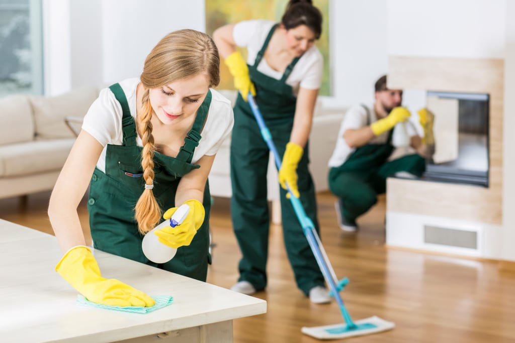 professional house cleaners